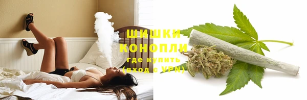 ECSTASY Чекалин